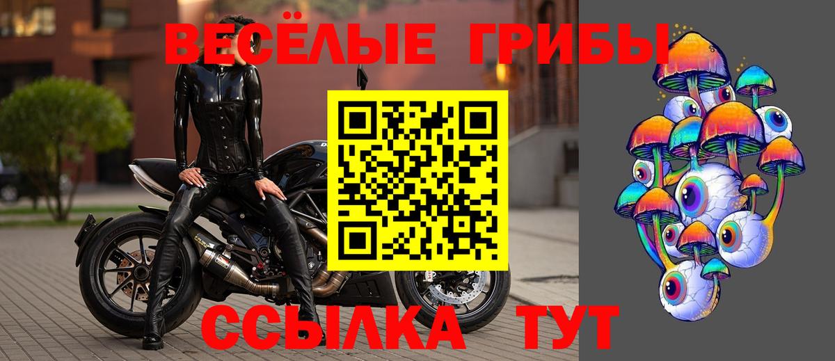 Псилоцибиновые грибы мицелий Егорьевск