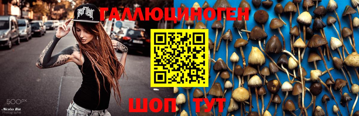 Псилоцибиновые грибы Cubensis  Галлюциногенные грибы MAGIC MUSHROOMS  Егорьевск  Вход с VPN 